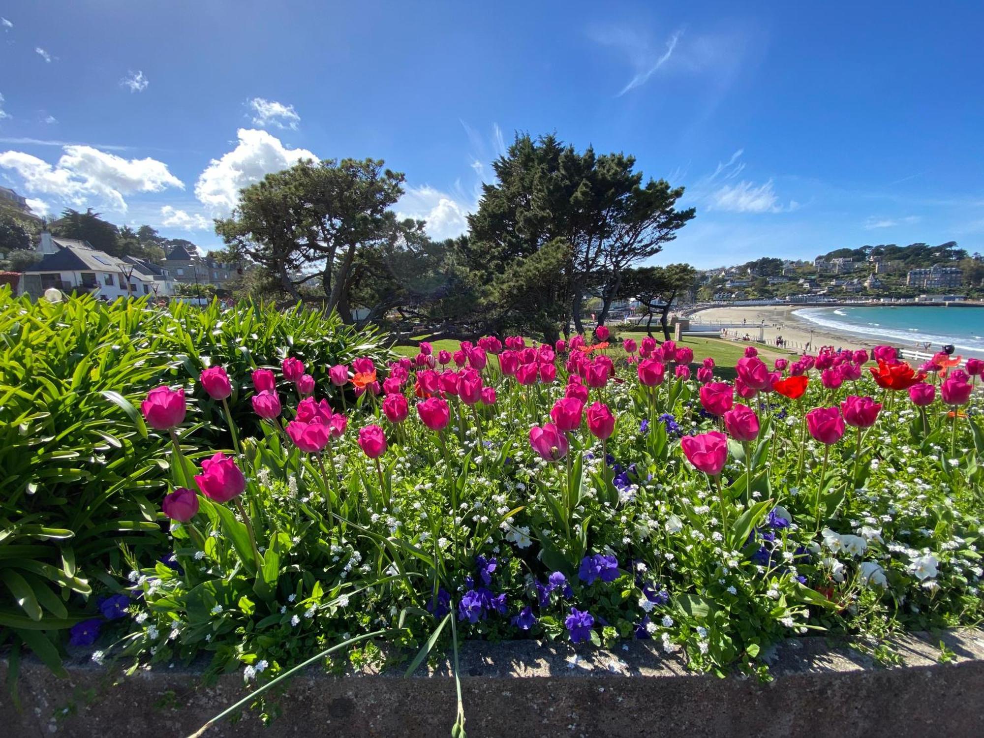 Coeur De Perros-Guirec - Studio Dış mekan fotoğraf